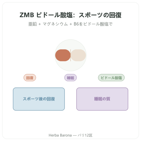 ZMB ピドレート – Nutrimuscle 120カプセル presentation Paris Herba Barona