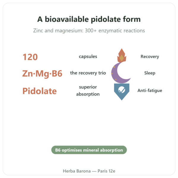 ZMB Pidolate – Nutrimuscle – 120 capsules benefits and key facts Paris Herba Barona