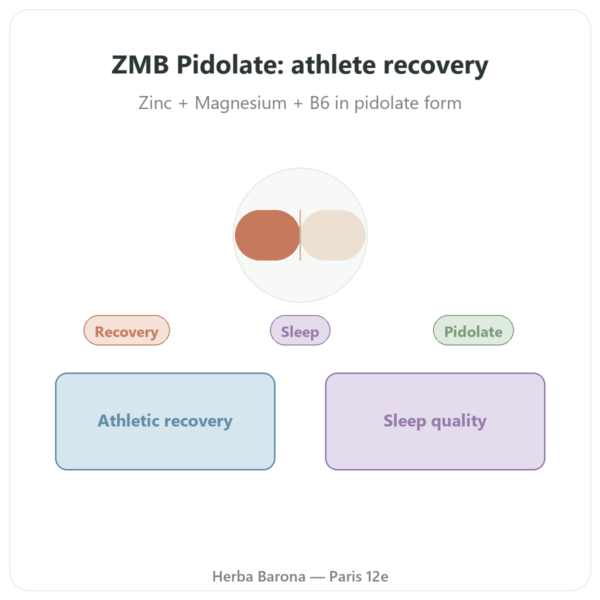 ZMB Pidolate – Nutrimuscle – 120 capsules presentation Paris Herba Barona