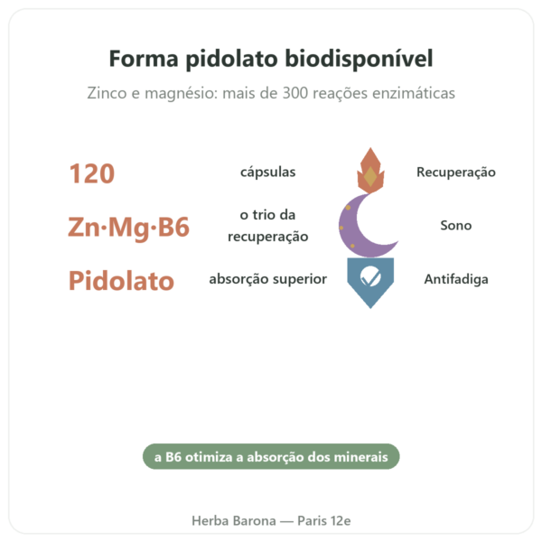 ZMB Pidolato – Nutrimuscle 120 cápsulas benefícios e dados principais Paris Herba Barona