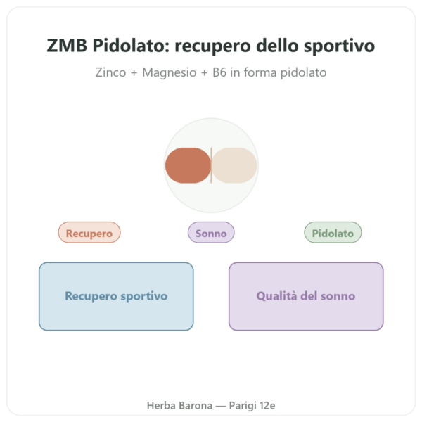 ZMB Pidolato – Nutrimuscle 120 capsule presentazione Paris Herba Barona
