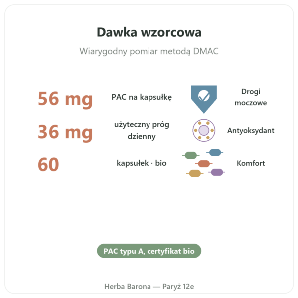 Żurawina bio (Cranberry) Dynveo – 56 mg PAC 60 kaps korzyści i najważniejsze fakty Paris Herba Barona
