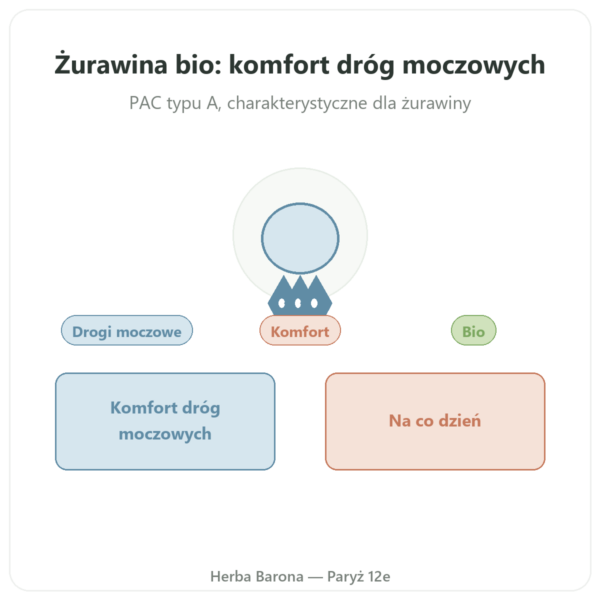 Żurawina bio (Cranberry) Dynveo – 56 mg PAC 60 kaps prezentacja Paris Herba Barona