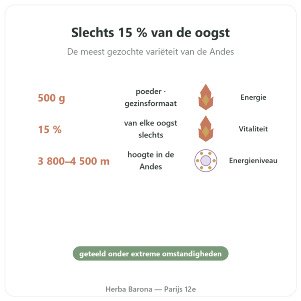 Zwarte Maca Bio in Poeder – Energy Feelings – 500 g voordelen en kerngegevens Paris Herba Barona
