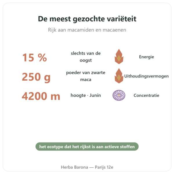 Zwarte Maca Bio poeder Pederoso – Saldac – 250 g voordelen en kerngegevens Paris Herba Barona