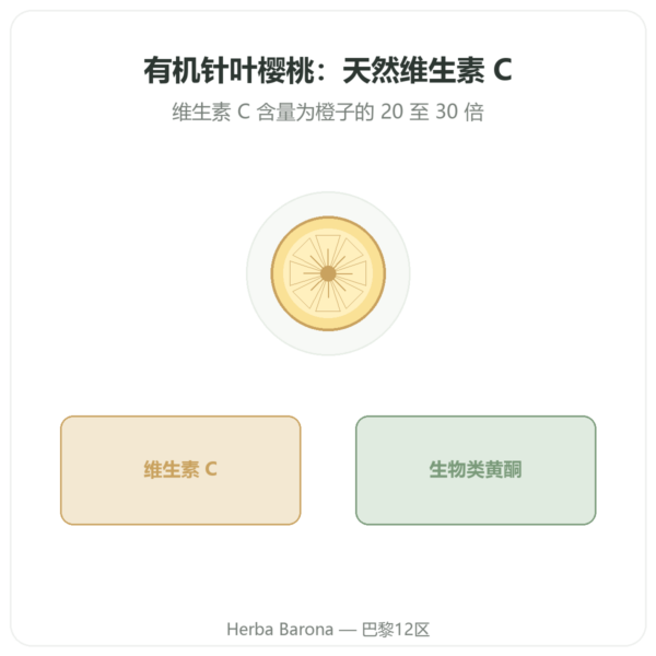 有机针叶樱桃 – Novoma – 30 片 产品展示 Paris Herba Barona