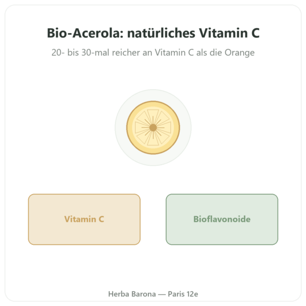 Acerola Bio Kautabletten – Novoma – 30 Stück Vorstellung Paris Herba Barona
