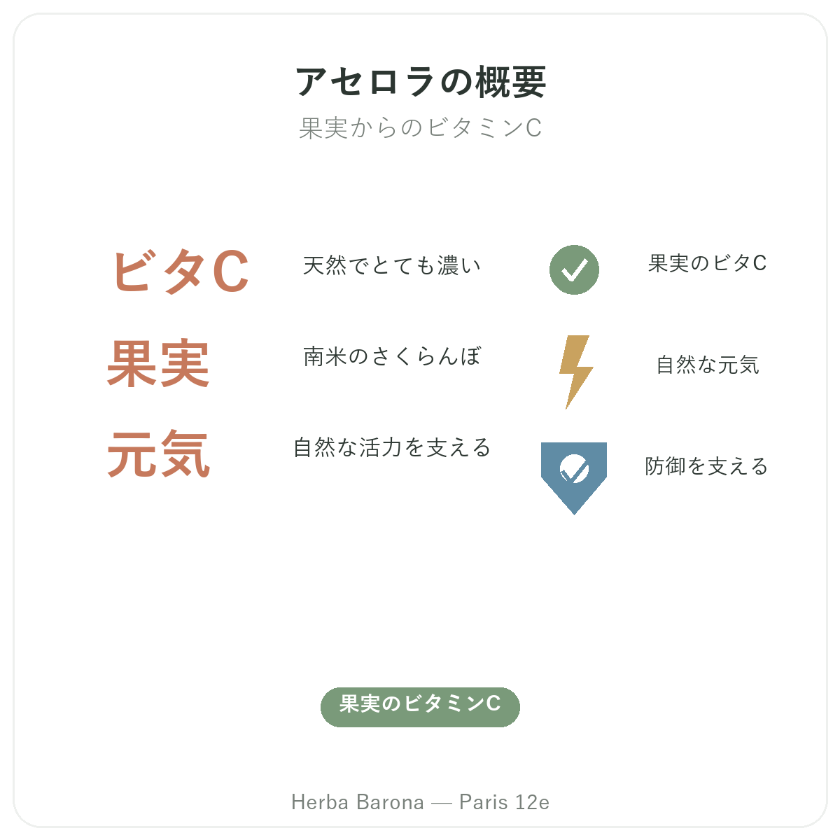 アセロラ パリ の要点 - Herba Baronaの主要データ パリ12区