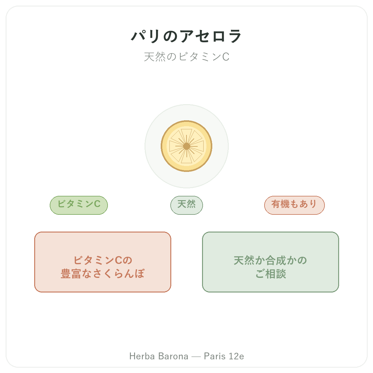 アセロラ パリ - Herba Baronaのブランド紹介 パリ12区