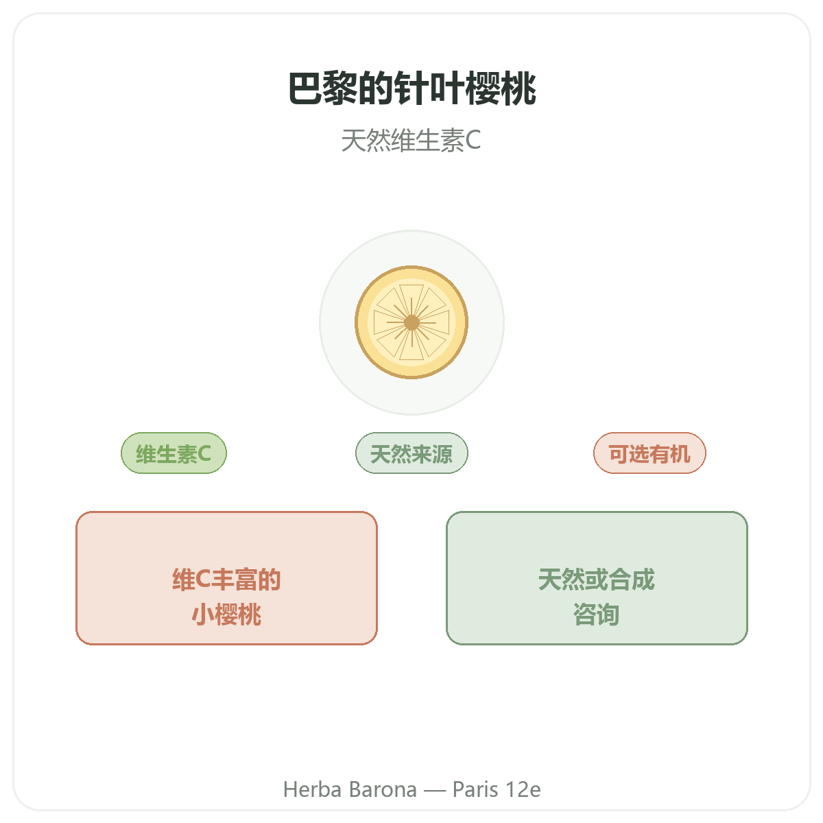 针叶樱桃品牌介绍 - 巴黎Herba Barona 12区