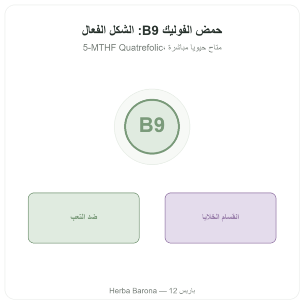 حمض الفوليك فيتامين B9 – Novoma عرض المنتج Paris Herba Barona