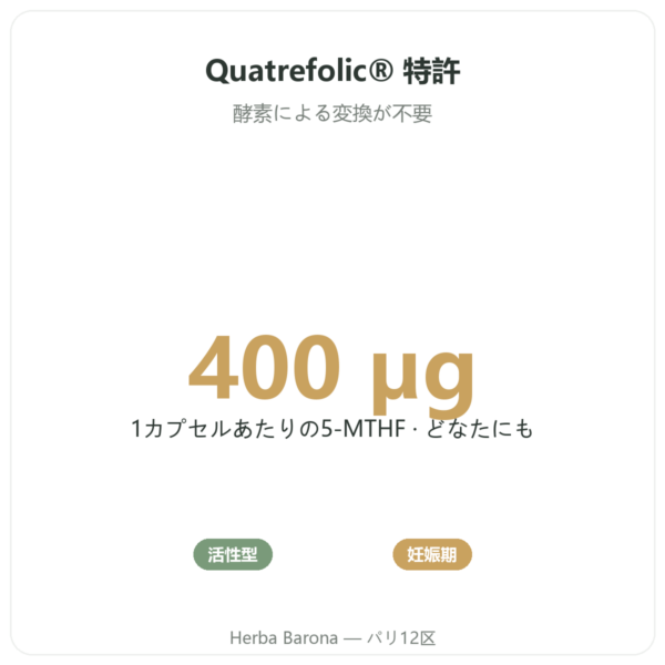 葉酸 ビタミンB9 – Novoma benefits and key facts Paris Herba Barona