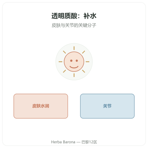 透明质酸 – Novoma – 90粒胶囊 产品展示 Paris Herba Barona