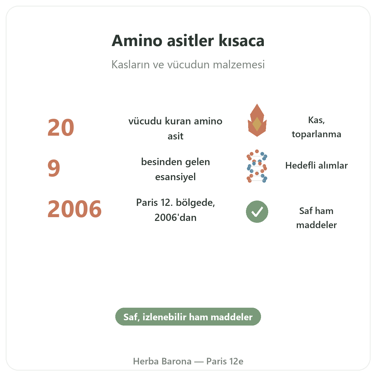Amino asitler Paris Paris kısaca - Herba Barona Paris 12. bölgede önemli rakamlar