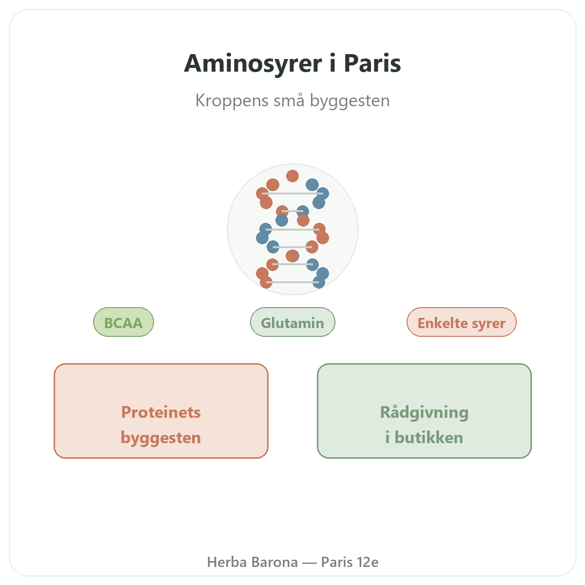 Aminosyrer Paris - præsentation af mærket hos Herba Barona Paris 12