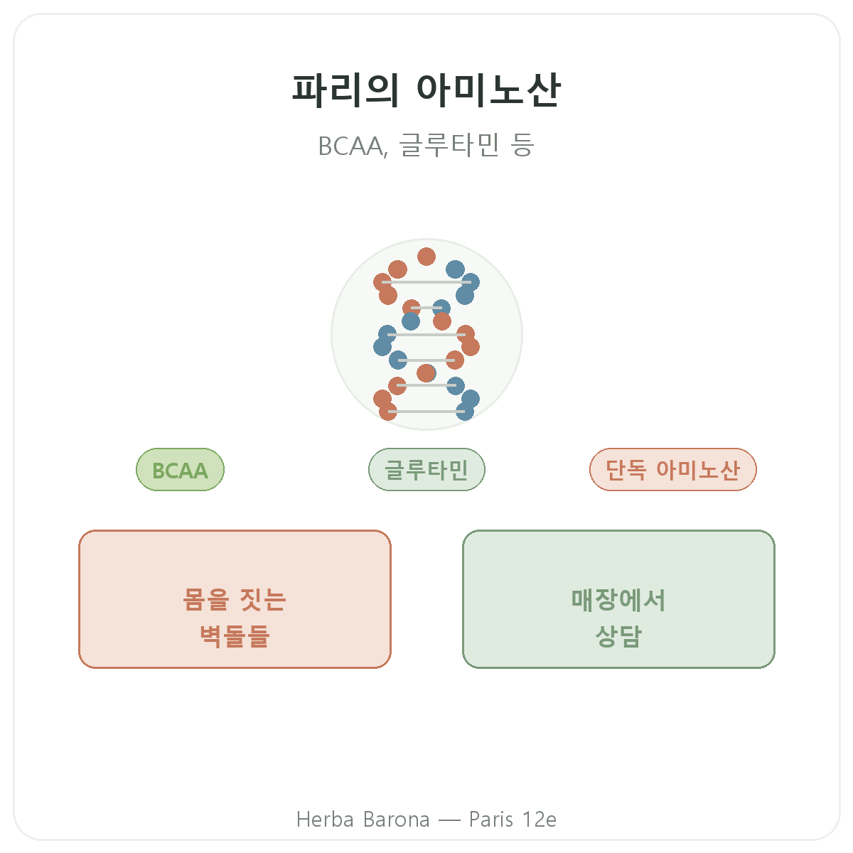 아미노산 파리 - 파리 12구 Herba Barona 브랜드 소개