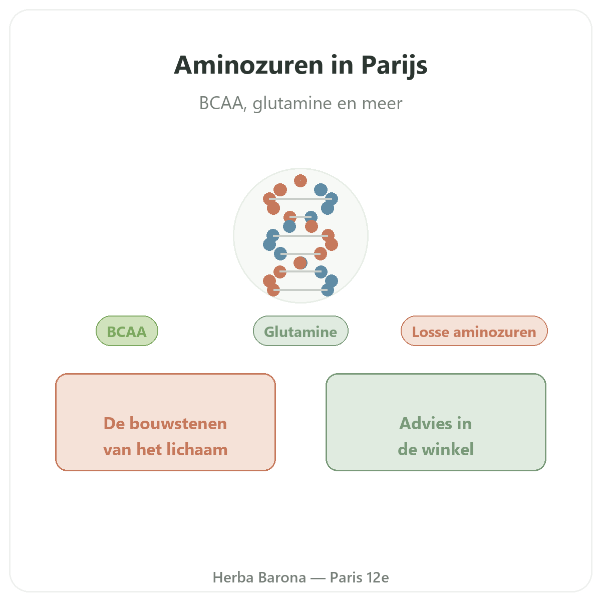 Aminozuren Parijs - presentatie van het merk bij Herba Barona Parijs 12e