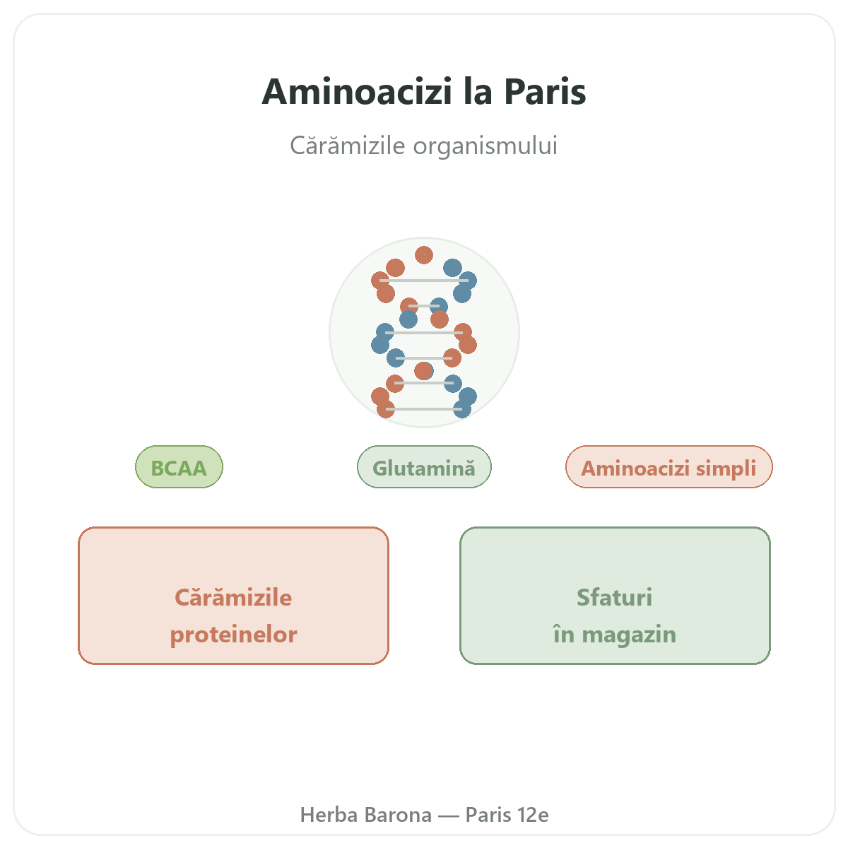 Aminoacizi Paris - prezentarea mărcii la Herba Barona Paris, arondismentul 12