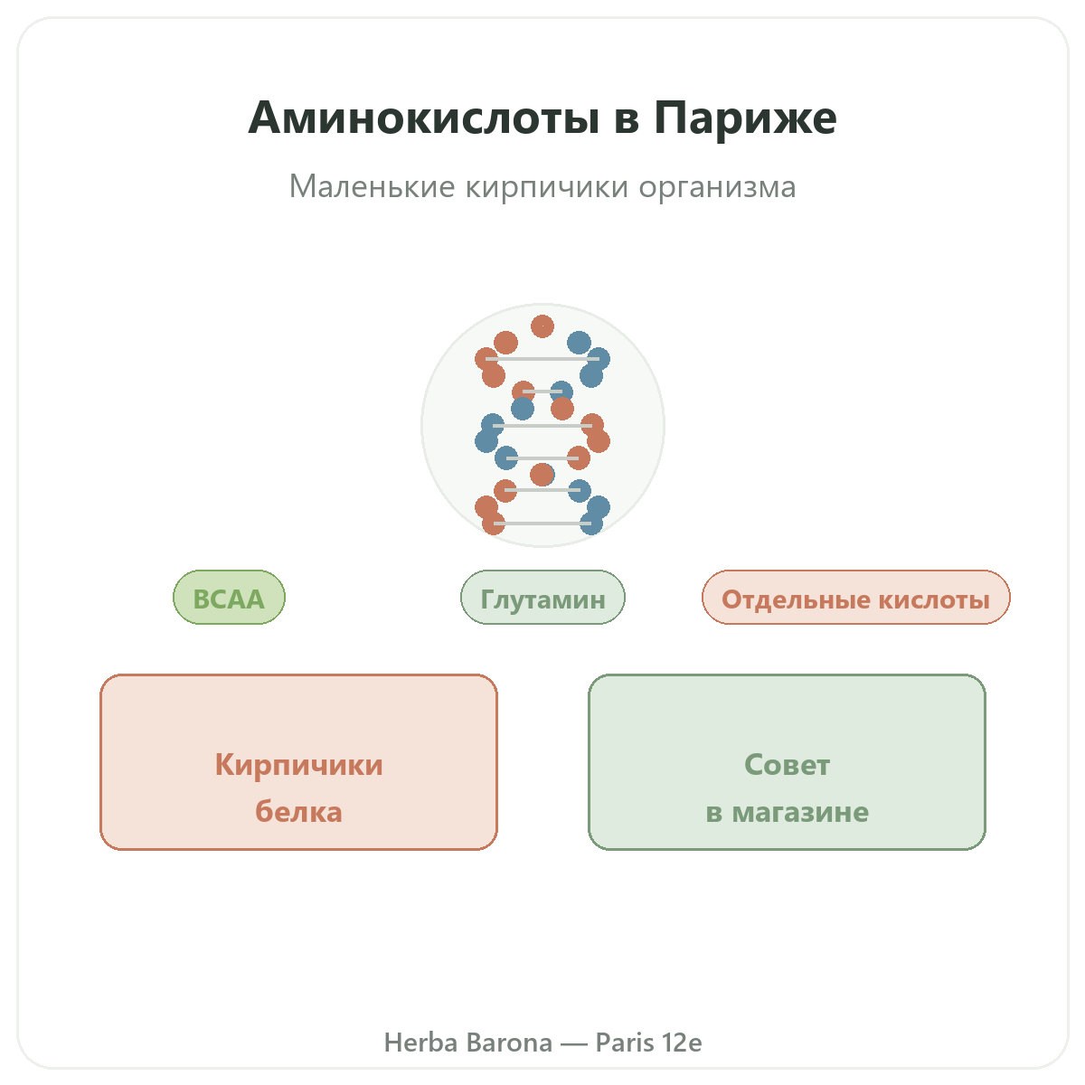 Аминокислоты Париж — презентация марки в Herba Barona, Париж, 12-й округ