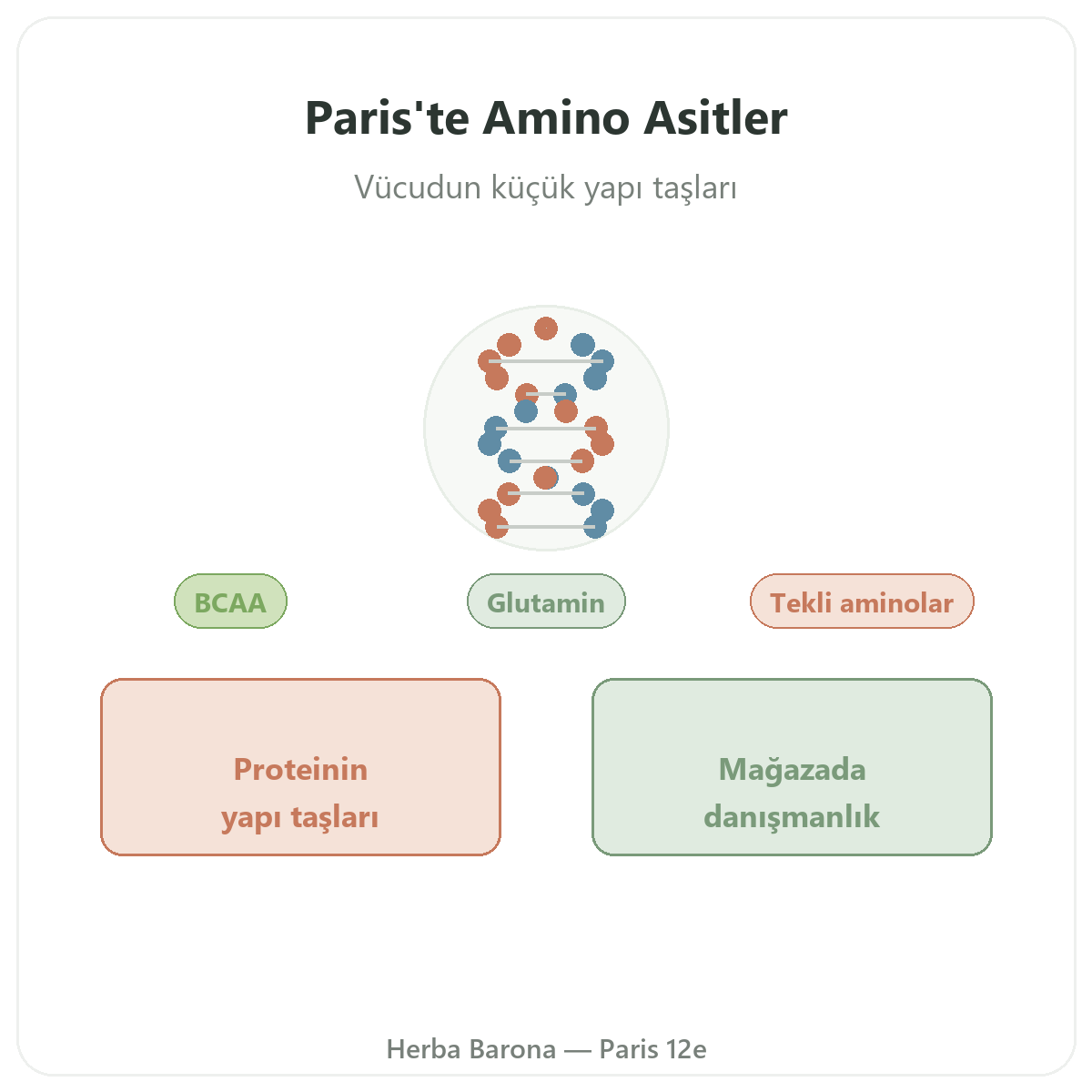 Amino asitler Paris Paris - Herba Barona Paris 12. bölgede marka tanıtımı