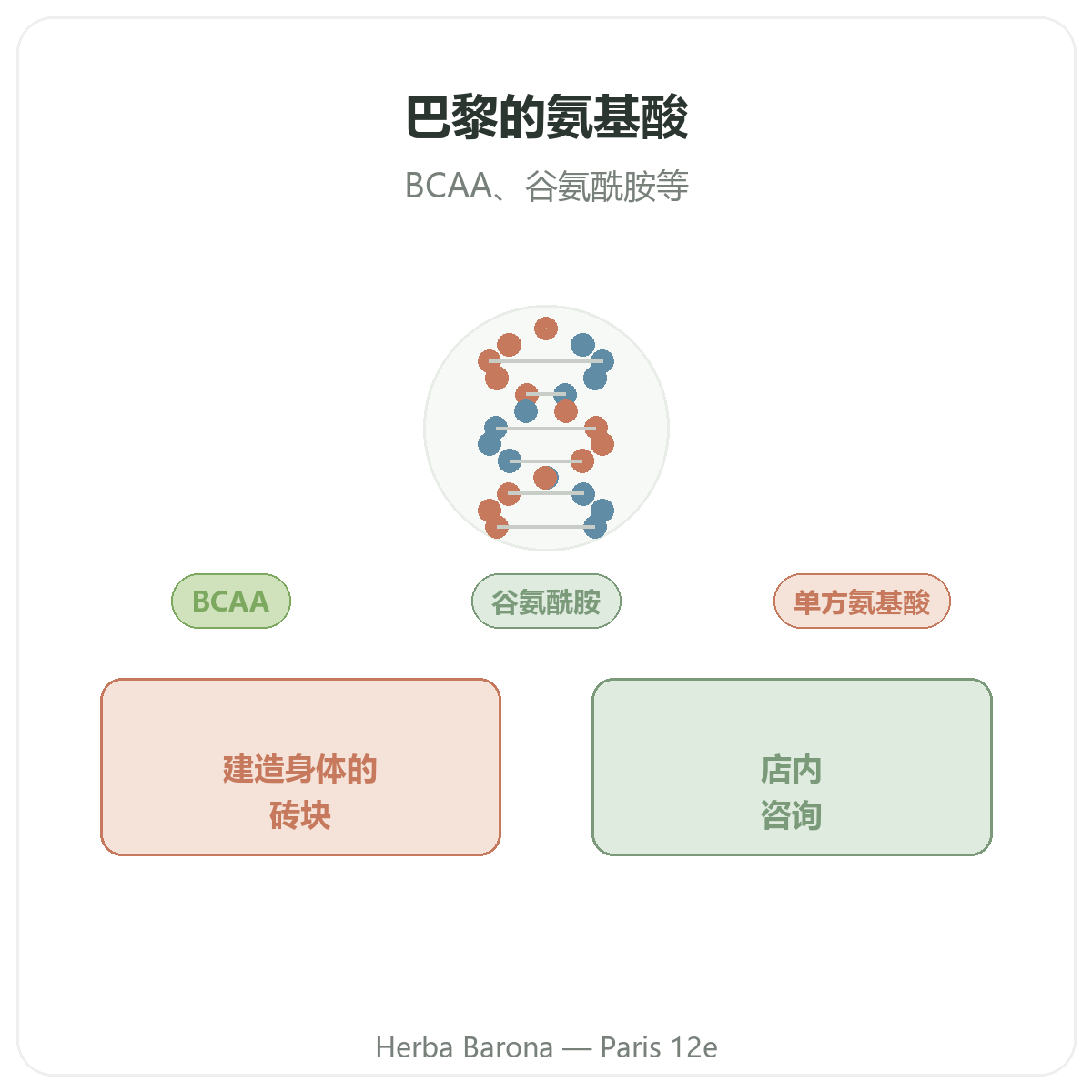 氨基酸品牌介绍 - 巴黎Herba Barona 12区