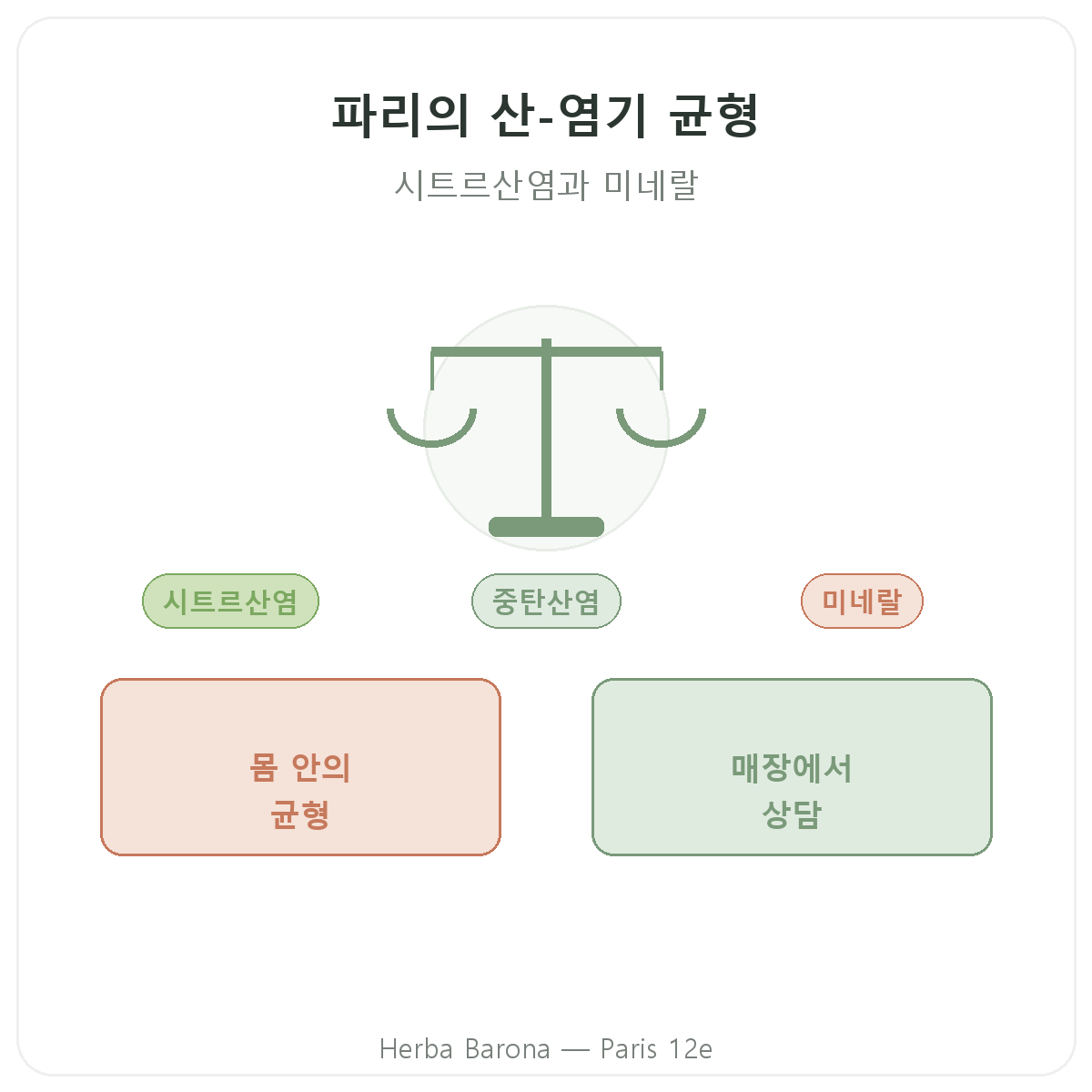 파리의 산-염기 균형 - 에르바 바로나 파리 12구