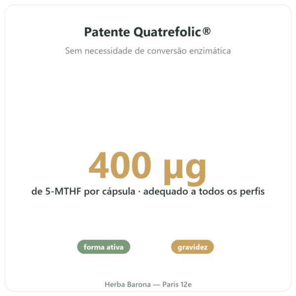 Ácido Fólico Vitamina B9 Novoma benefícios e dados principais Paris Herba Barona