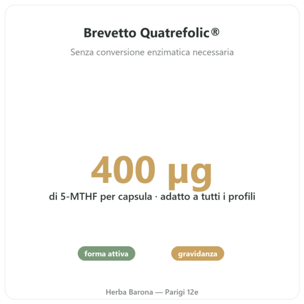 Acido Folico vitamina B9 – Novoma benefici e dati chiave Paris Herba Barona