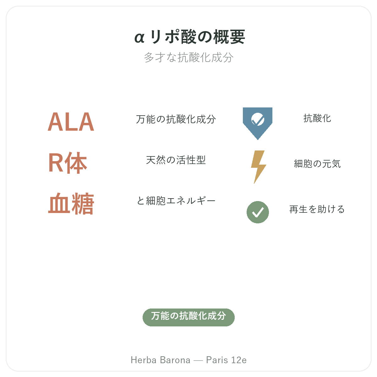 アルファリポ酸 パリ 概要 - 主な数字 Herba Barona パリ12区