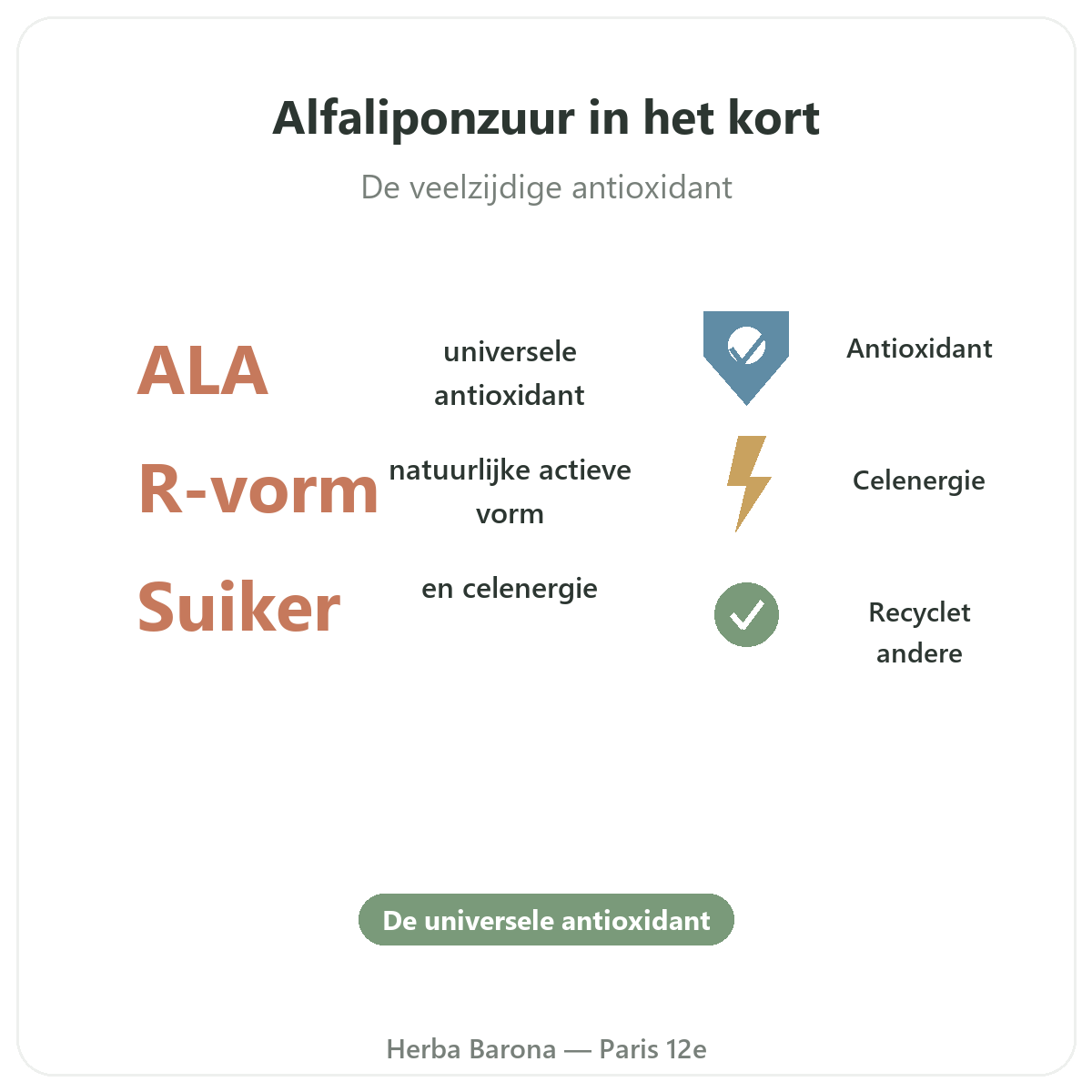 Alfa-liponzuur in Parijs in het kort - kerncijfers bij Herba Barona Parijs 12e