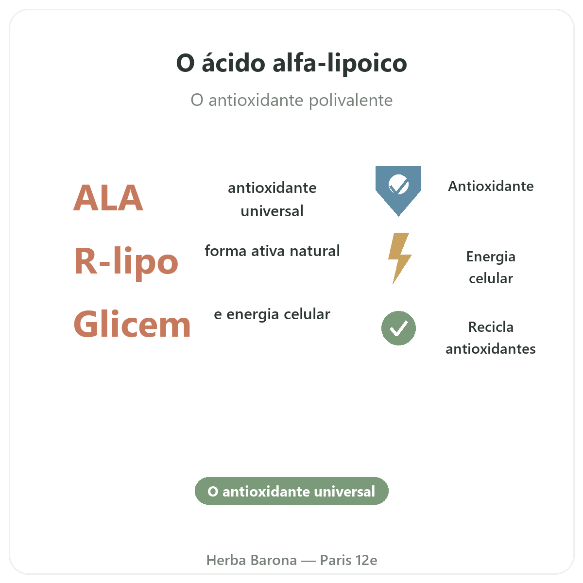 Ácido alfa lipoico em Paris, em resumo - números-chave na Herba Barona, Paris 12e