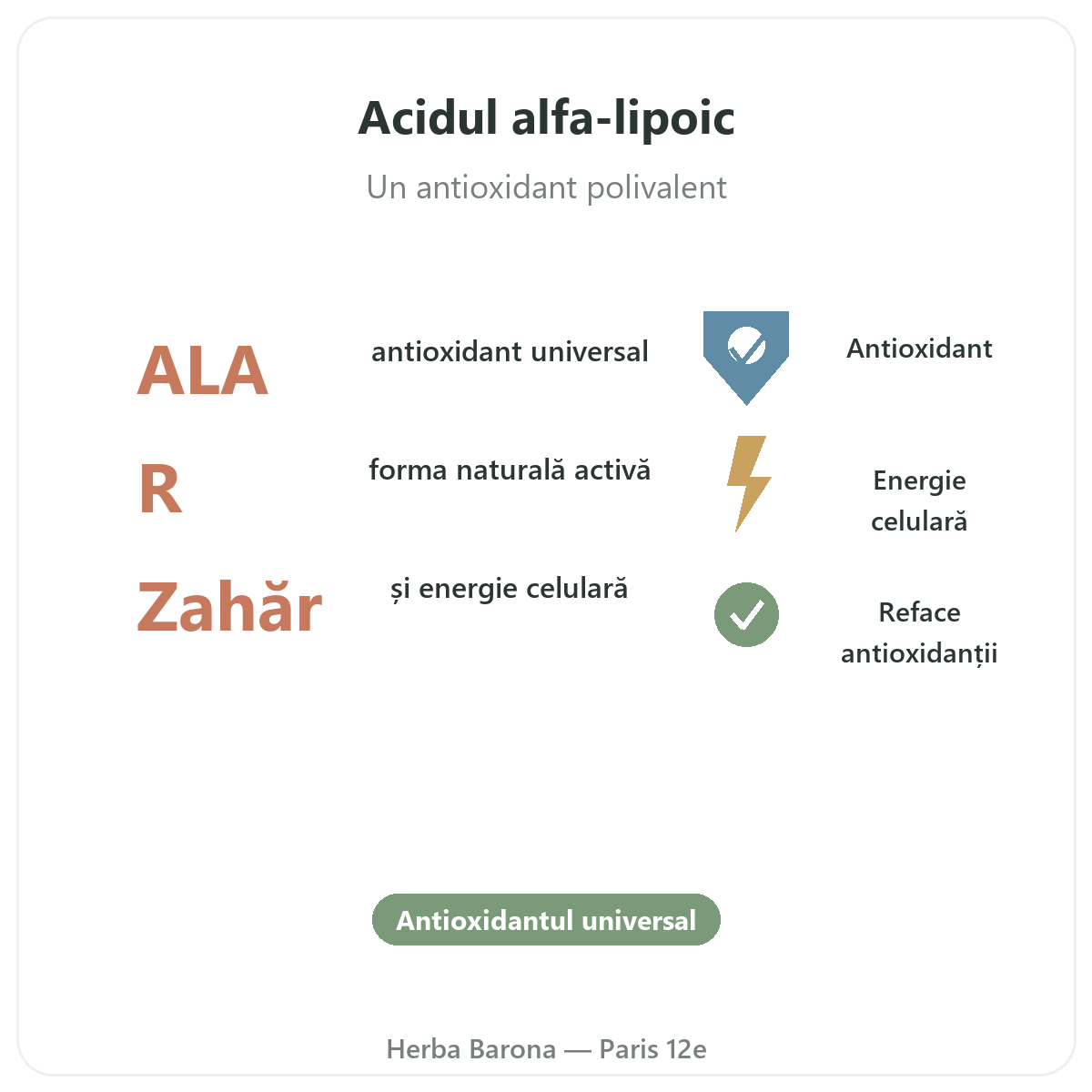 Acid alfa-lipoic Paris pe scurt - cifre cheie la Herba Barona Paris, arondismentul 12