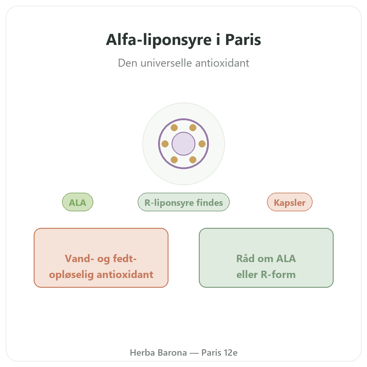 Alfaliponsyre Paris - præsentation af mærket hos Herba Barona Paris 12