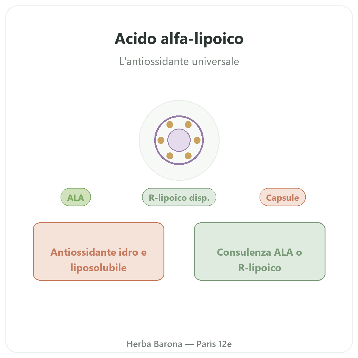 Acido alfa lipoico a Parigi - presentazione del marchio da Herba Barona Parigi 12e