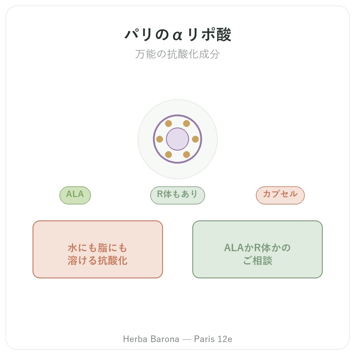 アルファリポ酸 パリ - ブランド紹介 Herba Barona パリ12区