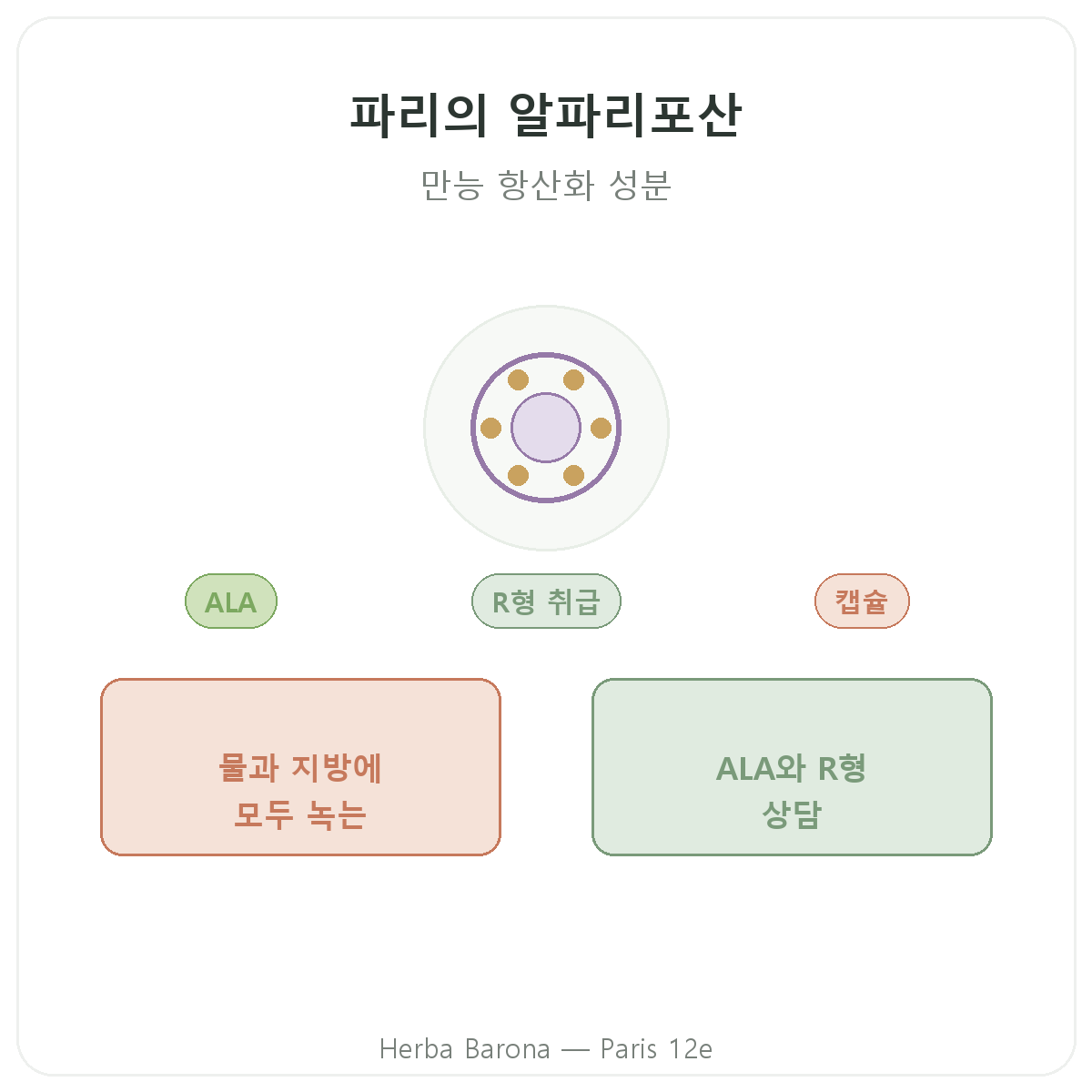 알파리포산 파리 - 브랜드 소개 - Herba Barona 파리 12구