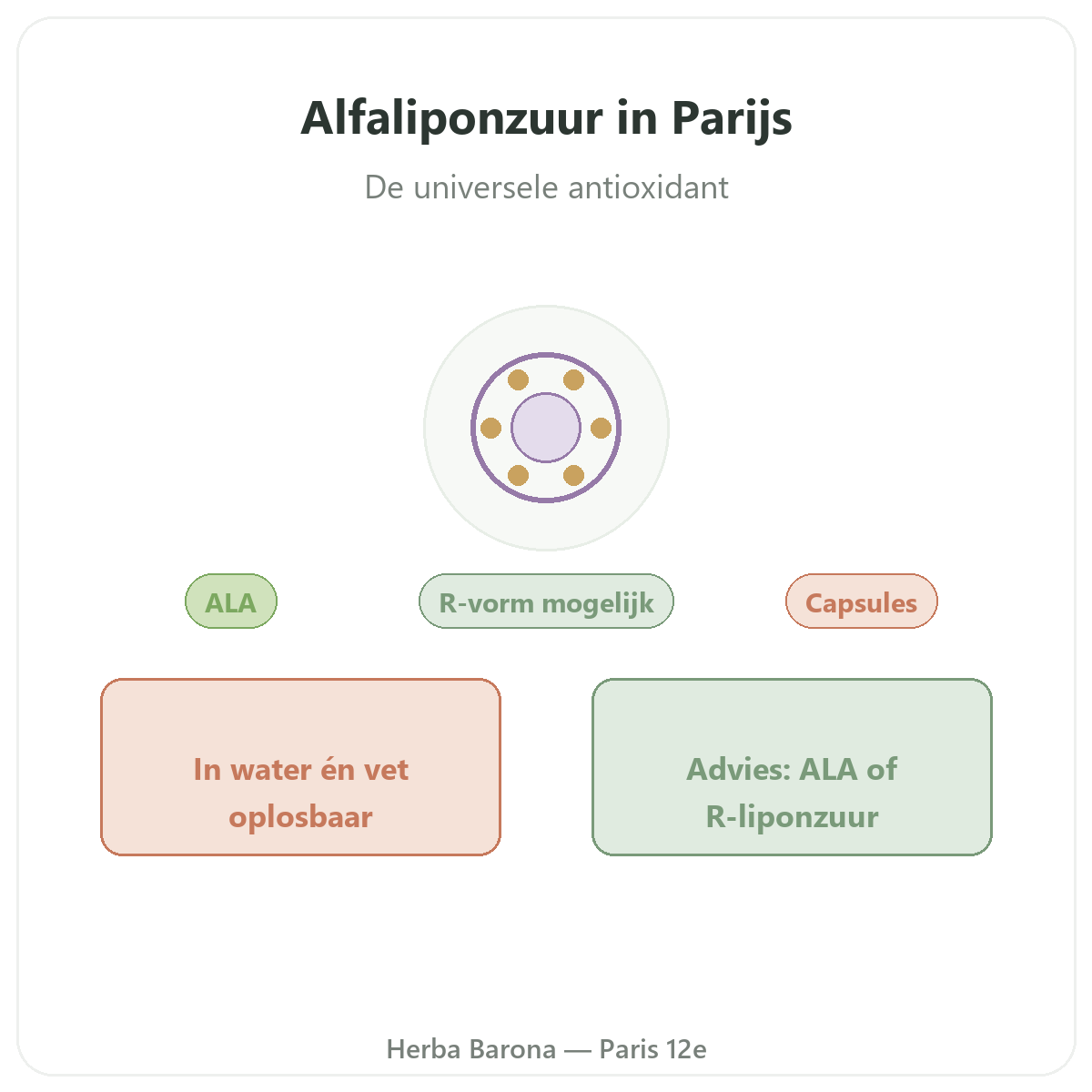 Alfa-liponzuur in Parijs - presentatie van het merk bij Herba Barona Parijs 12e