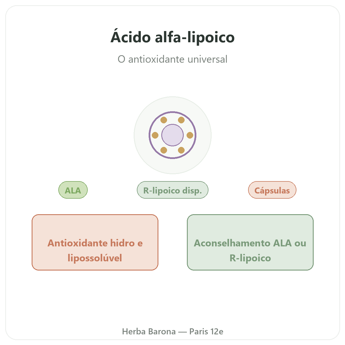 Ácido alfa lipoico em Paris - apresentação da marca na Herba Barona, Paris 12e