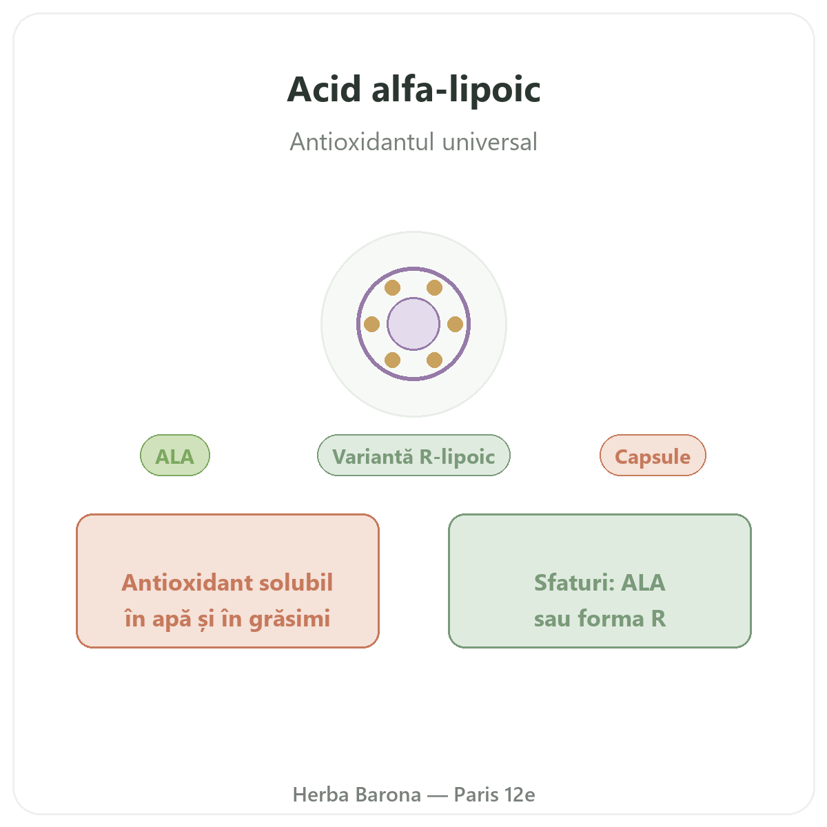 Acid alfa-lipoic Paris - prezentarea mărcii la Herba Barona Paris, arondismentul 12