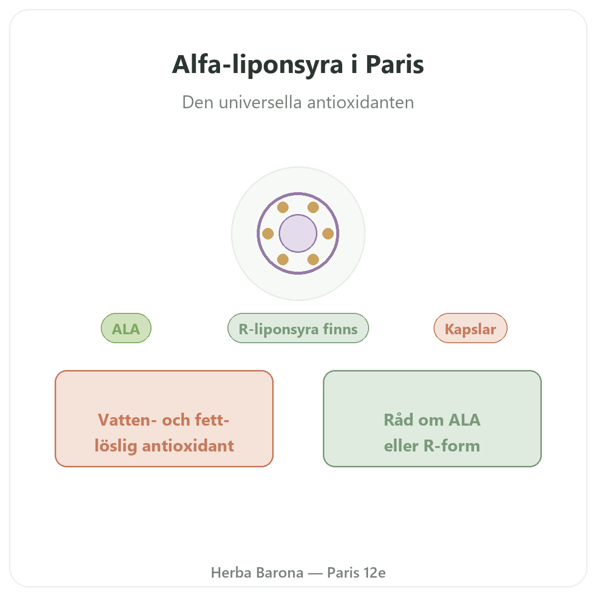 Alfaliponsyra Paris - produktpresentation hos Herba Barona Paris 12e