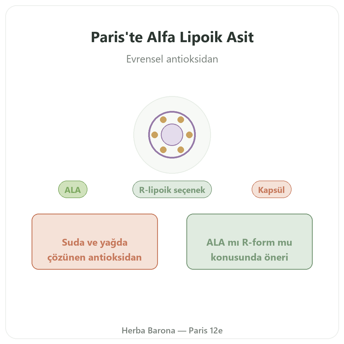Alfa lipoik asit Paris - Herba Barona Paris 12. bölgede marka tanıtımı