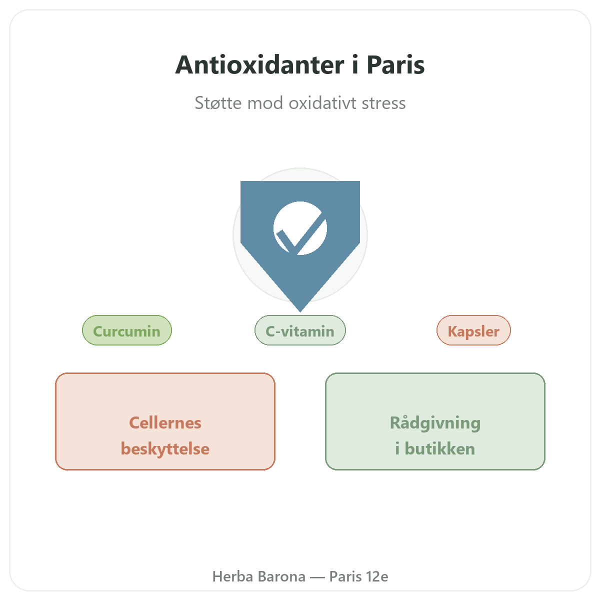 Antioxidant i Paris - præsentation hos Herba Barona Paris 12