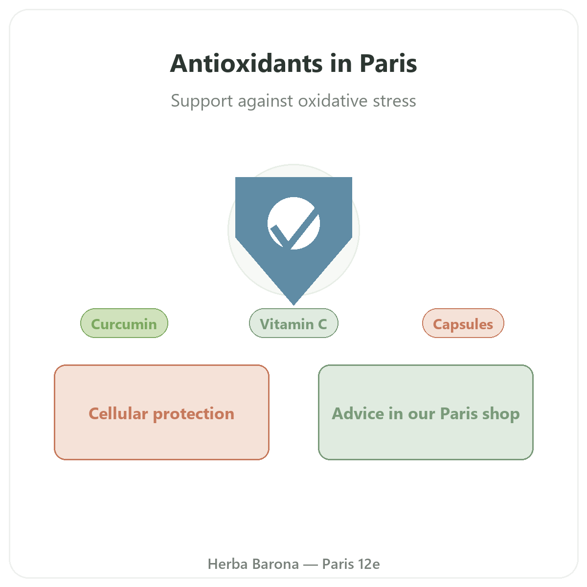Antioxidants in Paris - brand overview at Herba Barona Paris 12th