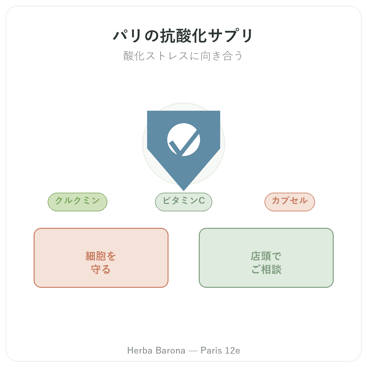 抗酸化 パリ - ブランド紹介 Herba Barona パリ12区