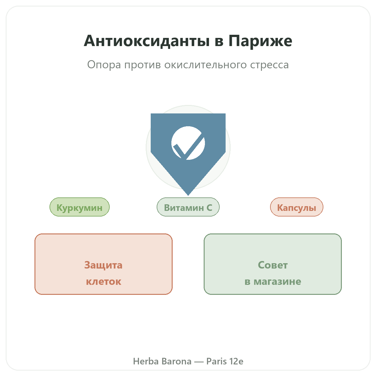 Антиоксиданты Париж — презентация в магазине Herba Barona, Париж, 12-й округ