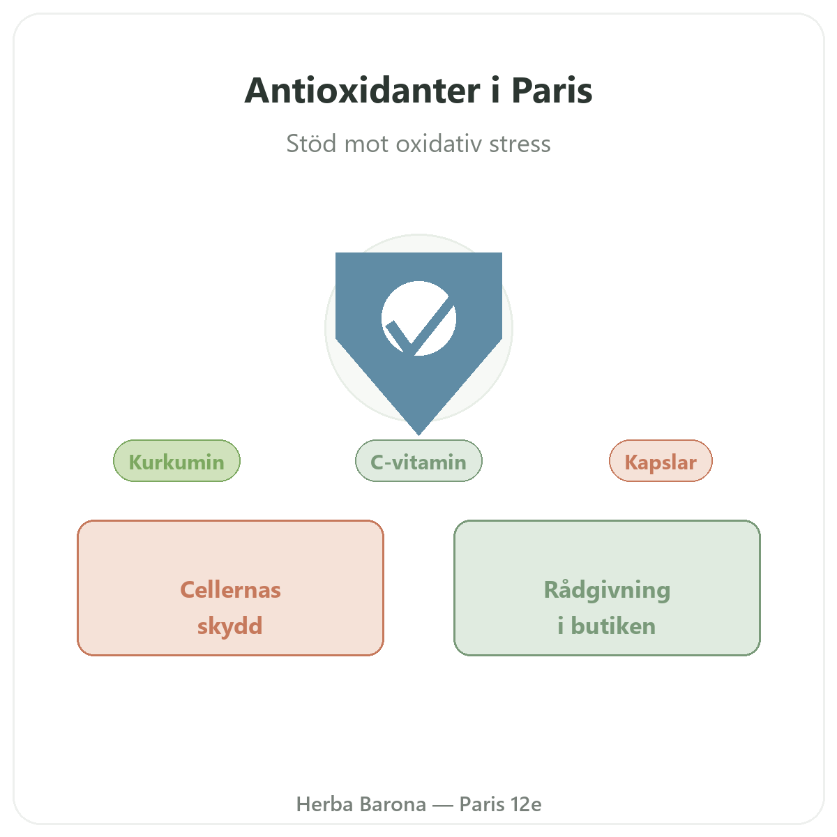 Antioxidanter i Paris – presentation hos Herba Barona Paris 12e