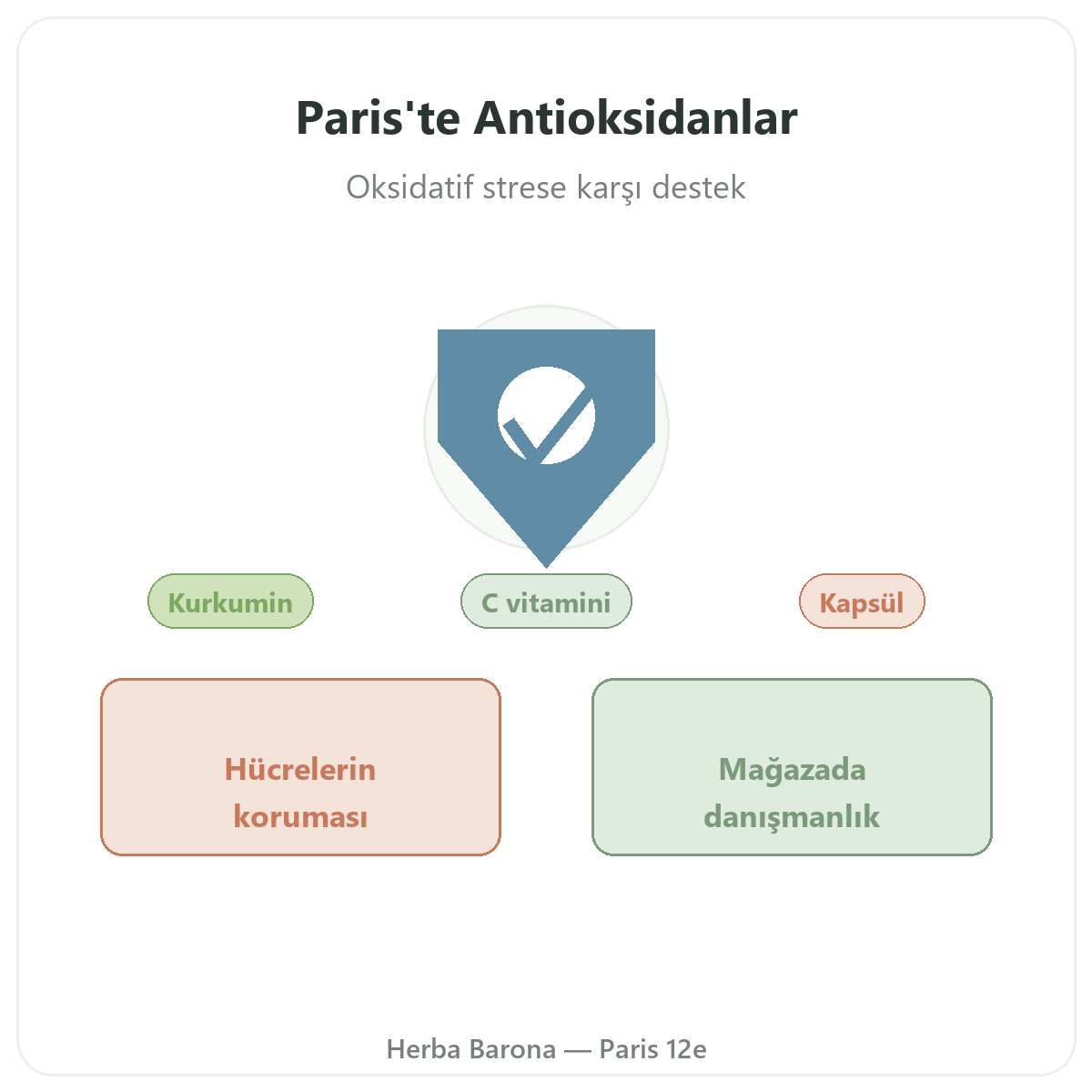 Antioksidan Paris - Herba Barona Paris 12. bölgede marka tanıtımı