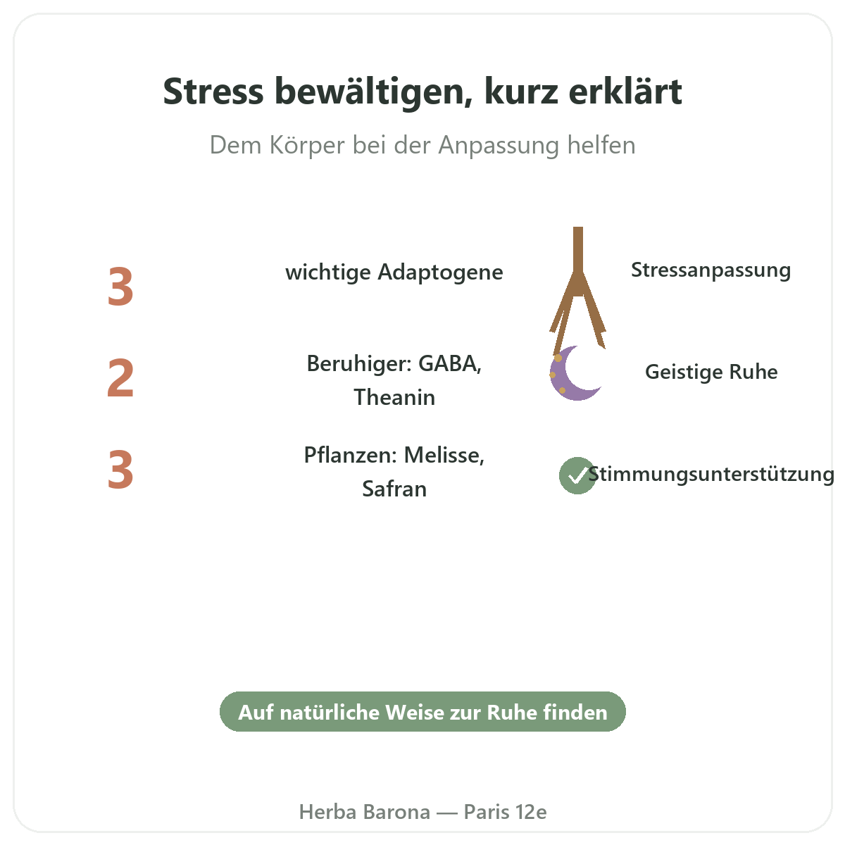 Anti-Stress in Paris im Überblick - wichtige Zahlen bei Herba Barona Paris 12e