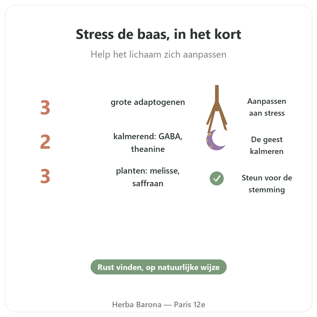 Anti-stress Paris Paris en bref - chiffres cles chez Herba Barona Paris 12e