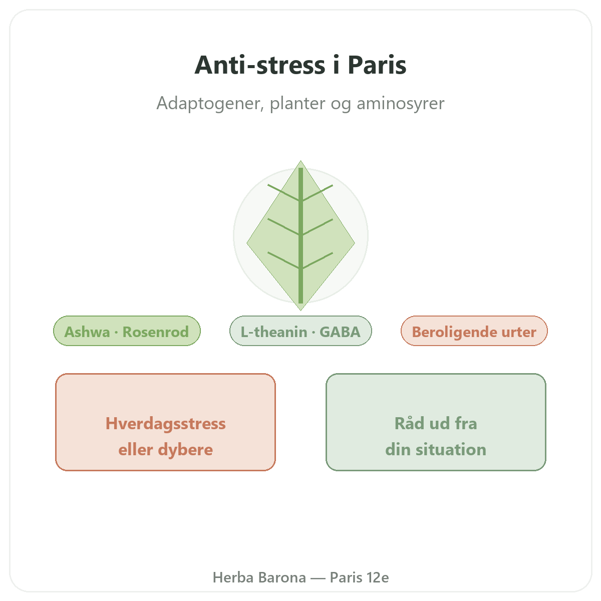 Anti-stress i Paris - præsentation hos Herba Barona Paris 12